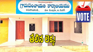 Panchayat Elections ( image CREDIT: SWETCHA REPORTER)