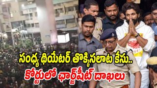 Sandhya-Theatre-Case (Image source X)