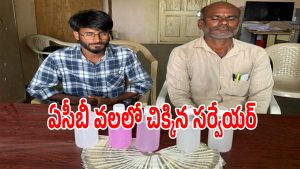 Medak District (imagecredit:swetcha)