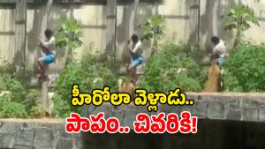 Shocking Video (Image Source: Twitter)