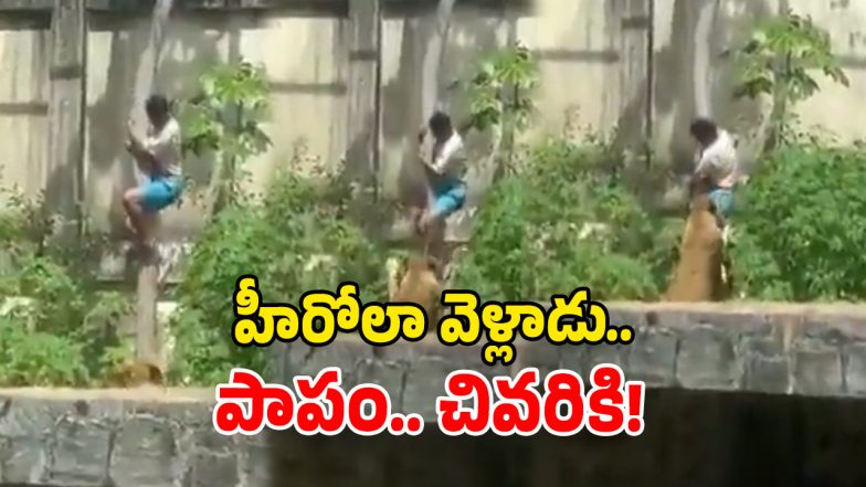 Shocking Video (Image Source: Twitter)