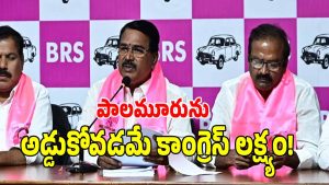 Singireddy Niranjan Reddy ( image credit: swetcha reporter)