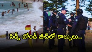 Sydney ( Image Source: Twitter)