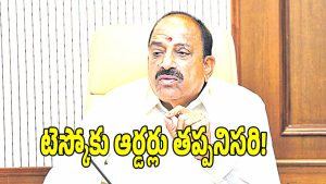 Thummala Nageswara Rao ( IMAGE CREDIT: SWETCHA REPORTER)