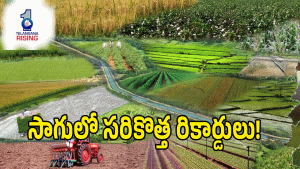 Telangana Agriculture ( image Credit: twitter)