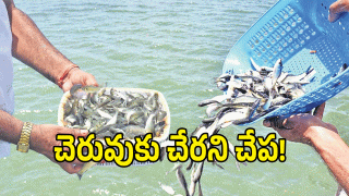 Telangana Fishermens ( image credit: swetcha reporter)