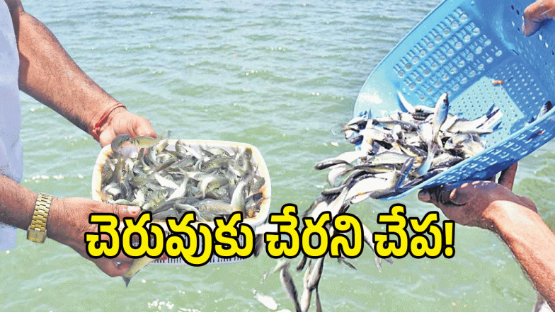 Telangana Fishermens ( image credit: swetcha reporter)