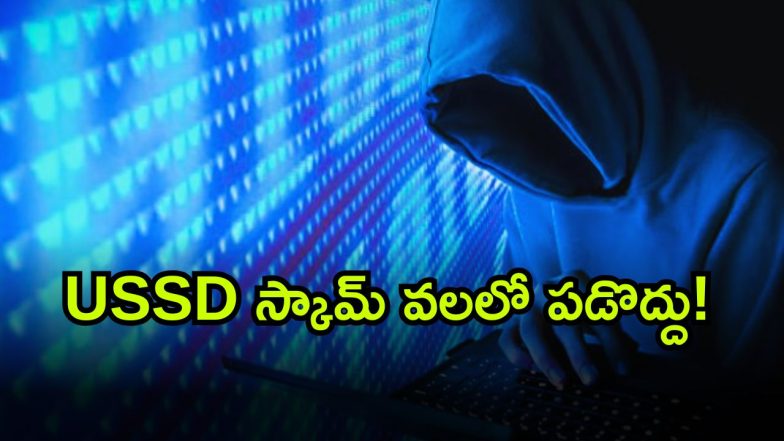 USSD ( Image Source: Twitter)