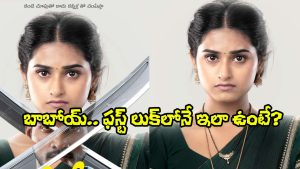 Vaishnavi Kokkura (Image Source: X)