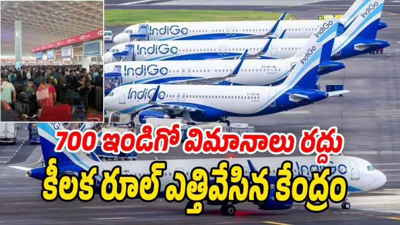 Indigo (Image Source: Twitter)