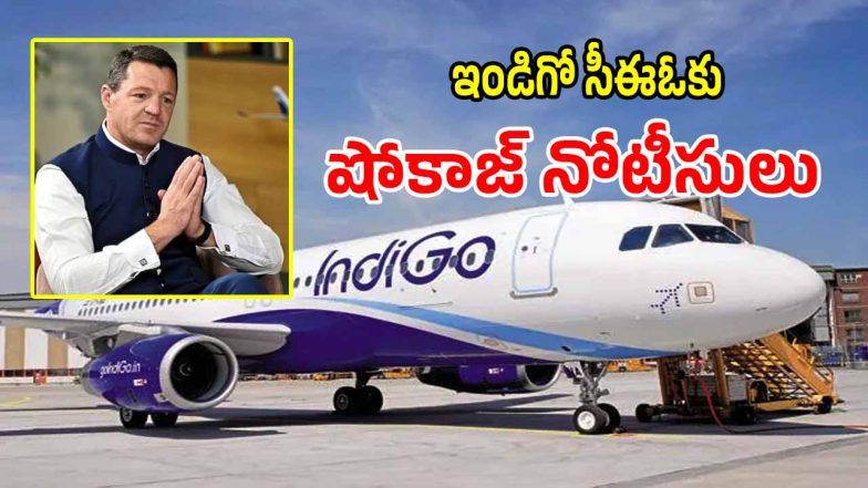 IndiGo Flight (imagecredit:twitter)