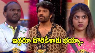 big-boss9-telugu-day-90(X)