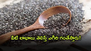 chia ( Image Source: Twitter)