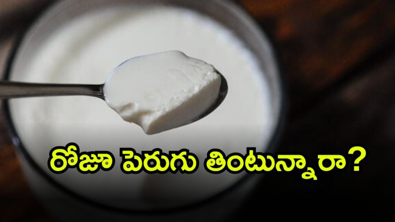 Curd ( Image Source: Twitter)