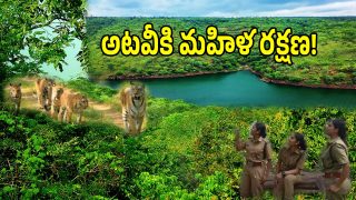 Telangana Forest (imagecredit:twitter)