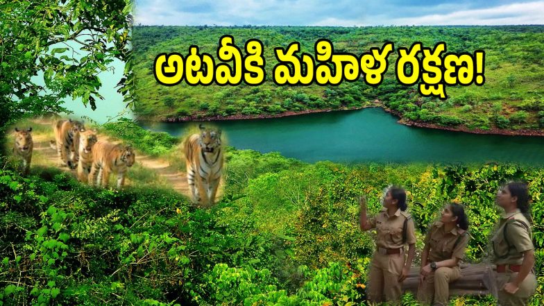 Telangana Forest (imagecredit:twitter)