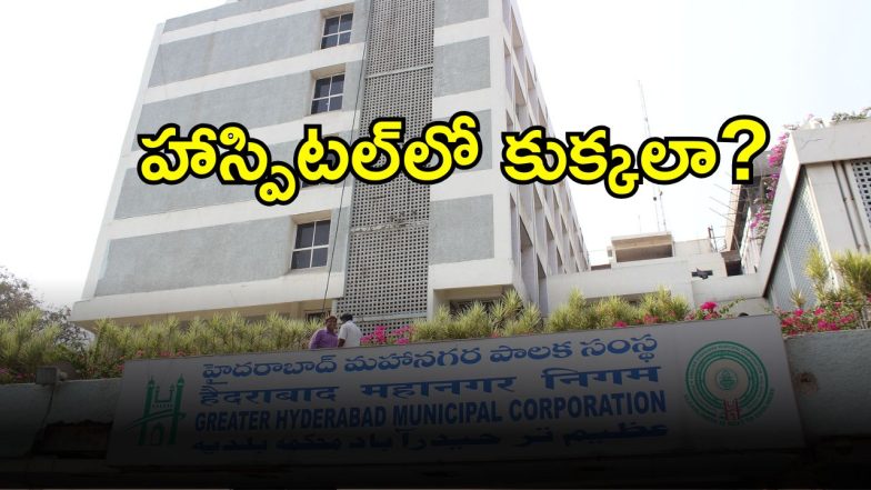 GHMC (imagecredit:twitter)