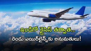 IndiGo ( Image Source: Twitter)