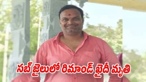 krishna (image source Swetcha)