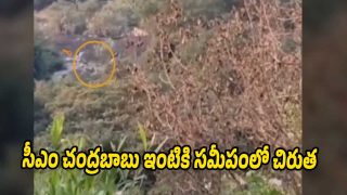 leopard (Image source X)