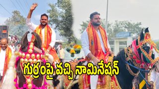 Jogipet News (imagecredit:swetcha)