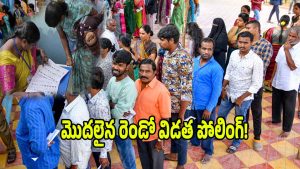 Local Body Elections (imagecredit:twitter)