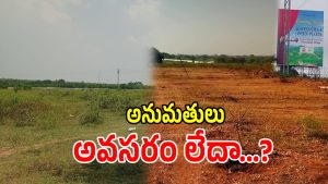 Illegal Plot Sales (imagecredit:swetcha)