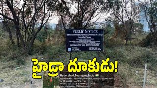 Hydra ( image credit: swetcha reporter)