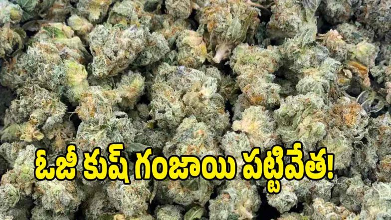 Drugs Case ( image credit: swetcha reporter)