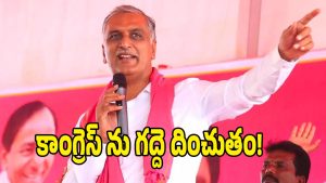 Harish Rao (image credit: swetcha reporter)