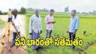 AEO Workload Issues (imagecredit:twitter)