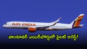 Air india ( Image Source: Twitter)