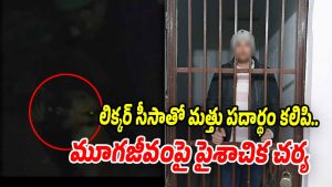 Alcohol-to-Dog (Image source X)