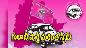 BRS Party ( iMGAE CREDIT: SWETCHA REPORTER)