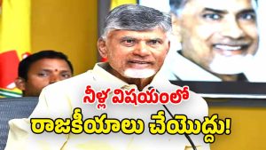 CM Chandrababu Naidu ( image credit: swetcha reporter)