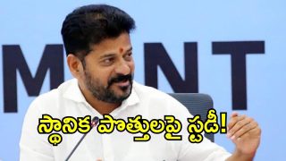 Municipal Elections ( IMAGE CREDIT: TWITTER)