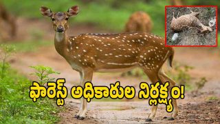 Forest Department ( image credit: swetcha rteporter)