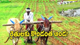 Telangana Govt ( image credit: twitter)