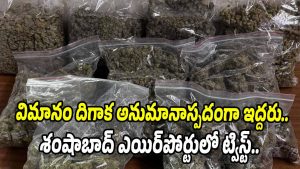 Ganja seize (Image source X)