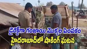 Ganja-Smuggling (Image source X)