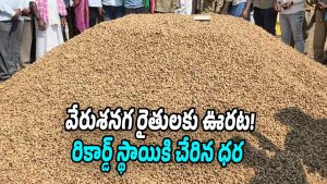 Farmer Krishnaiah smiling with his harvested groundnuts in Vanaparthy agricultural market Telangana as price hits Rs 10011 per quintal