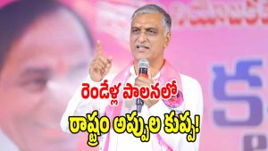 Harish Rao ( image credit: twitter)