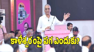 Harish Rao ( image credit: swetcha reporter)