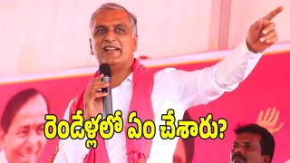 Harish Rao ( image credit: swetcha reporter)