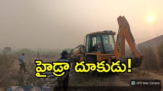 Hydra ( image credit: swetcha reporter)