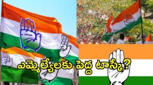 Municipal Elections ( image credit: twitter)