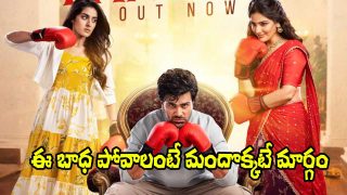 Nari Nari Naduma Murari (Image Source: X)