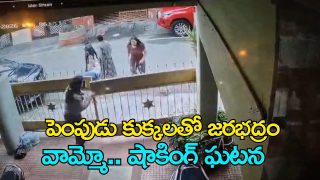 Injured software engineer receiving treatment after pet dog attack in Bengaluru HSR Layout