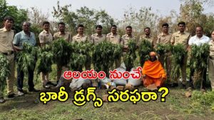 Sangareddy Drug Bust ( image cedit: swetcha reporter)