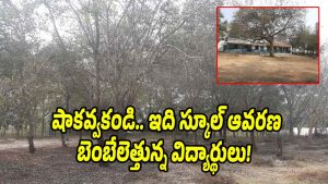 Overgrown trees and weeds in the government school playground in Kanaparthi village causing safety concerns for children